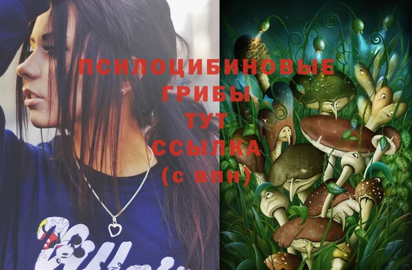 синтетический гашиш Вяземский