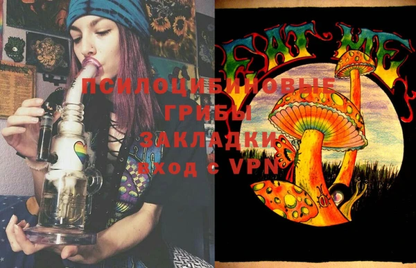 мяу мяу кристалл Няндома