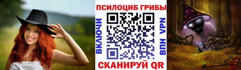 купить наркотик Муром Галлюциногенные грибы Psilocybe